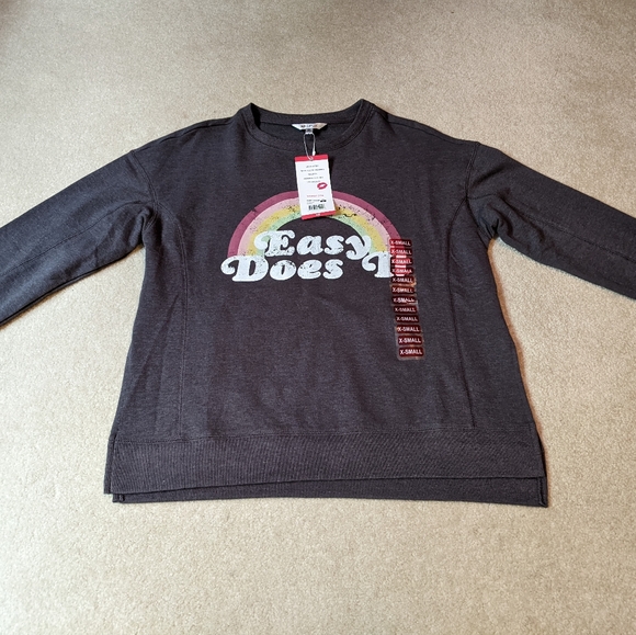 Nwt Wildfox Statement sweatshirt easy does it charcoal sweatshirt - Picture 9 of 16